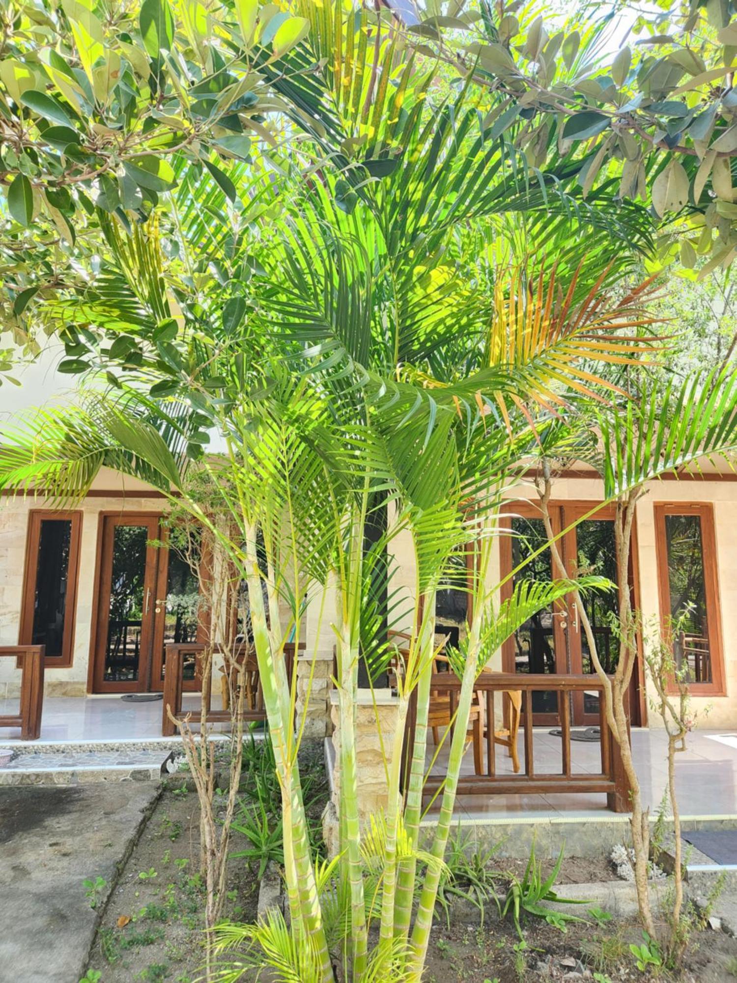 Run Gilis Apartamento Ilhas Gili Exterior foto